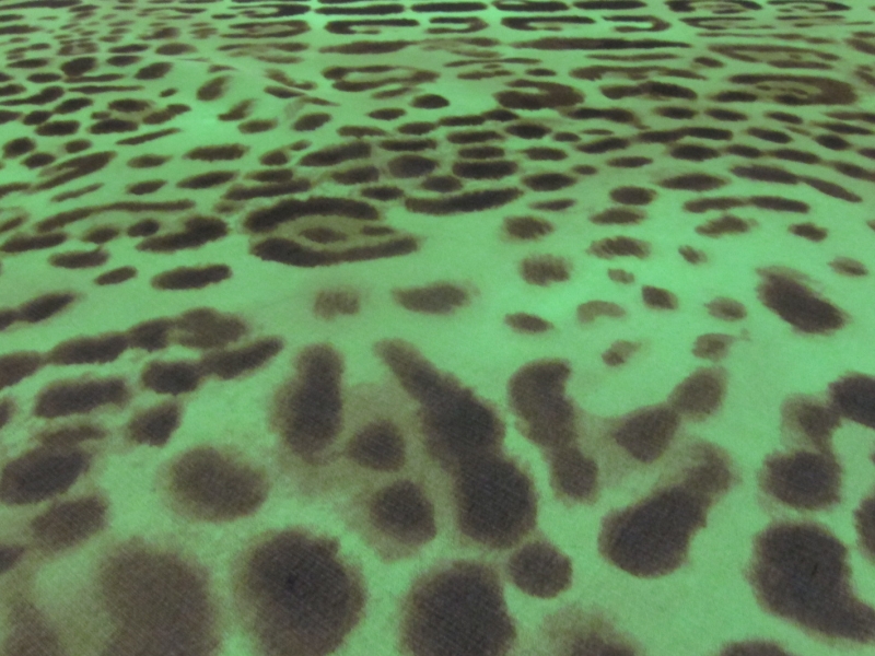 Printed Silk Chiffon2