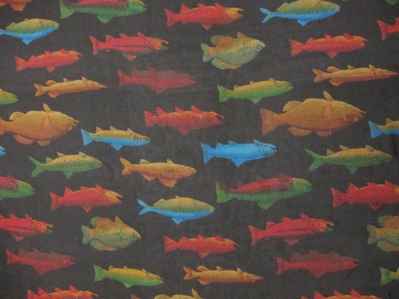 Printed Silk Chiffon1