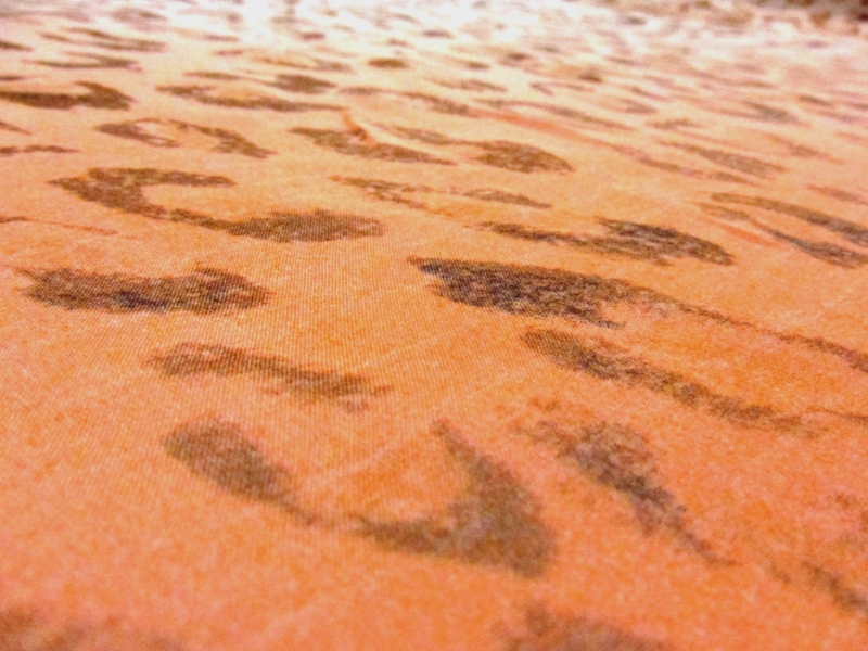 Printed Ombré Silk Chiffon Panel2