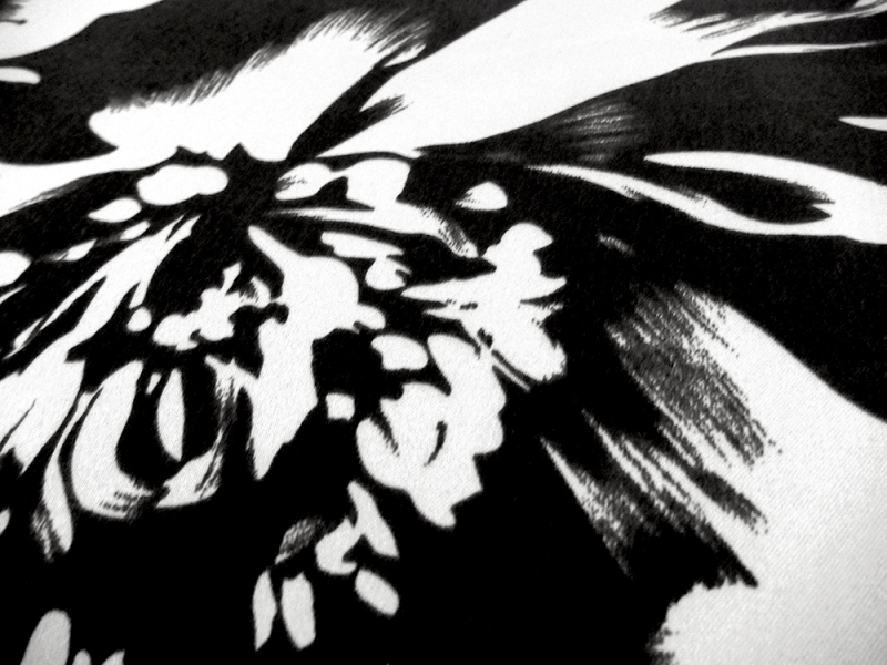 Printed Silk Charmeuse1