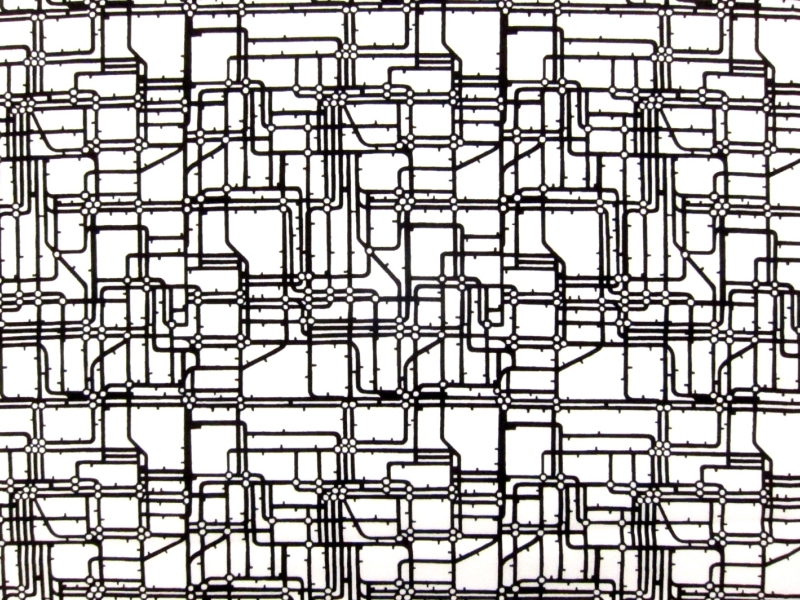 Cotton Broadcloth Print0