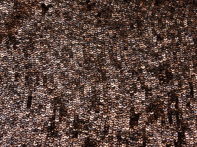 Sequins on Silk Chiffon0