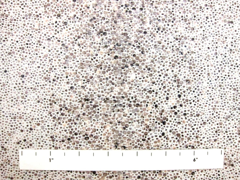 Textured Laminate Silk Faille1