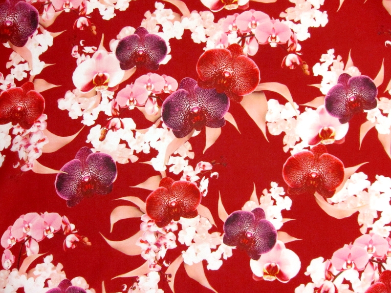 Printed Lightweight Silk and Nylon Gazar0