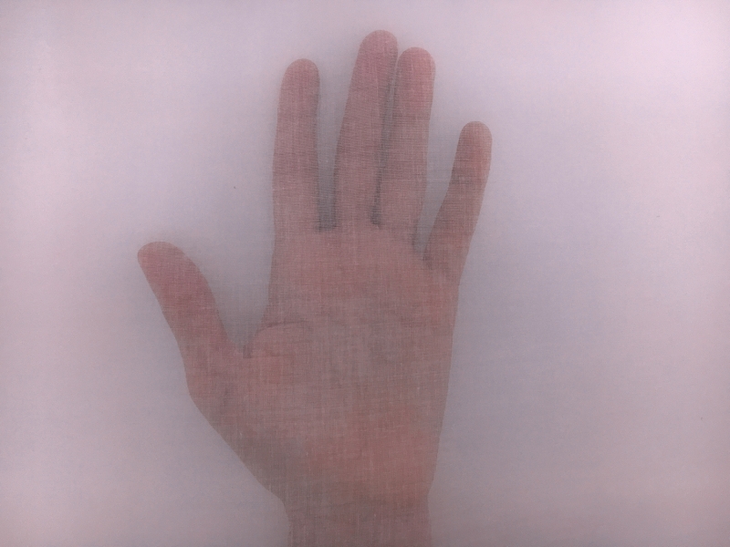 Swiss Cotton Organdy in Lilac1