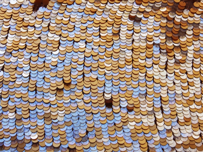 Pailettes on Silk Chiffon1