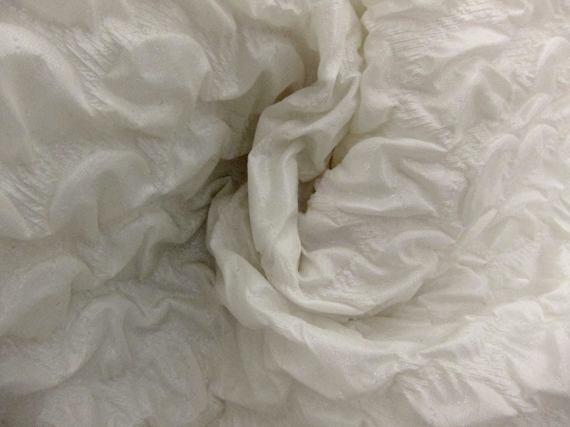 Silk Blend Organza Cloqué1