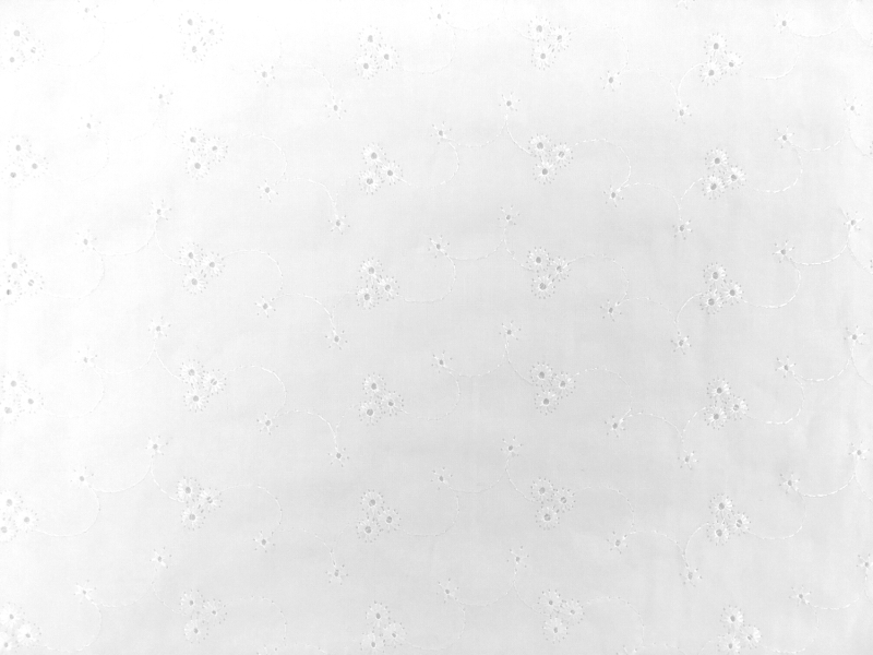 Cotton Eyelet with Embroidered Flowers in White0