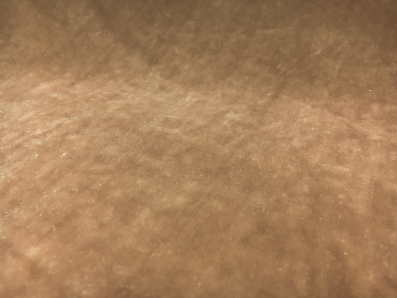 Silk and Rayon Velvet in Nude1