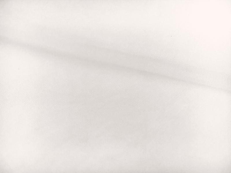 Swiss Cotton Organdy in Ivory1