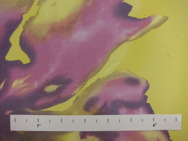 Printed Silk Chiffon0