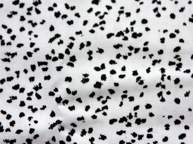 Cotton Sateen Spandex Print2
