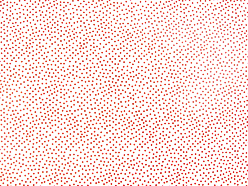 Cotton Broadcloth Print0