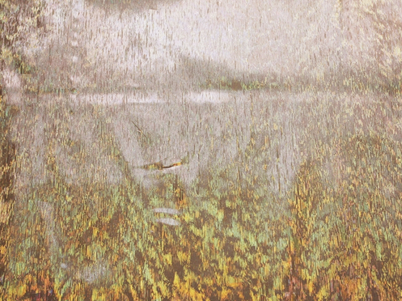 Stretch Hologram Lamé0