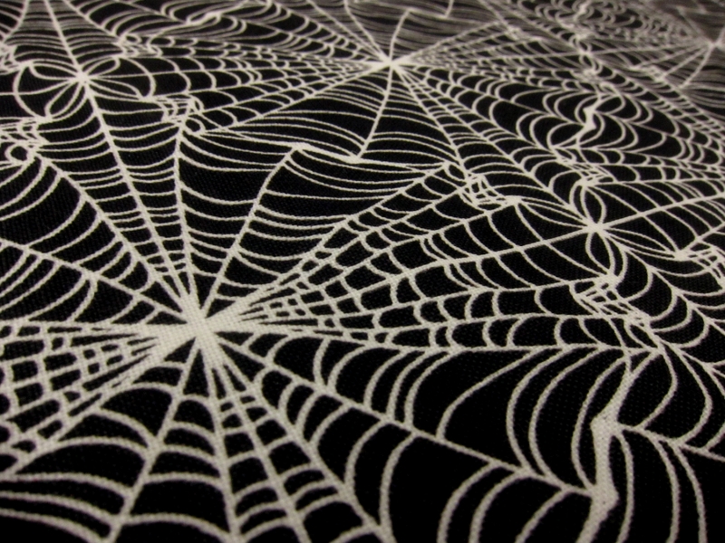 Cotton Broadcloth Print 2