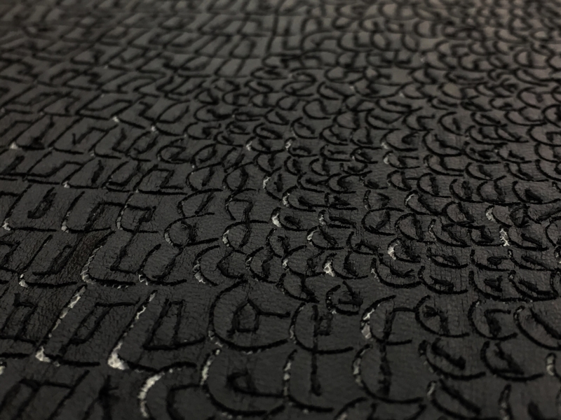 Embroidered Pleather on Tulle0