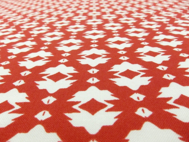 Cotton Broadcloth Print2