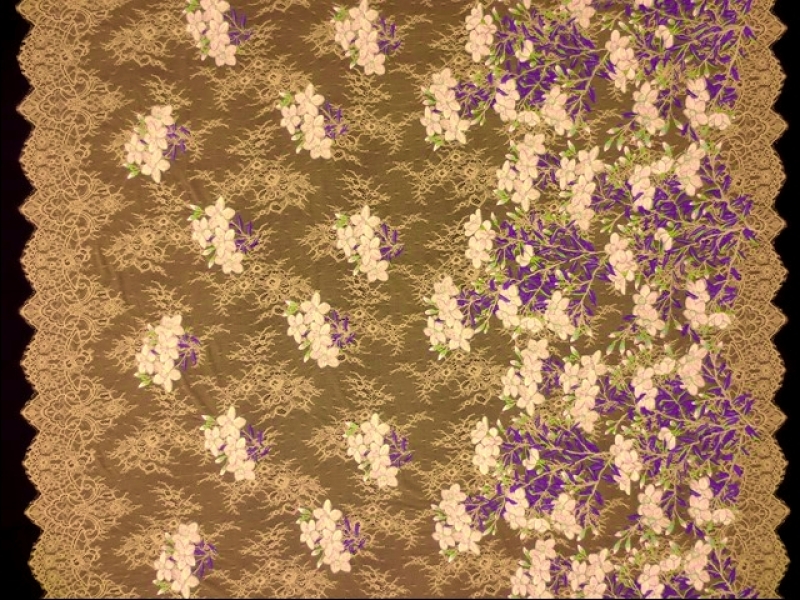 Embroidered Chantilly Lace3