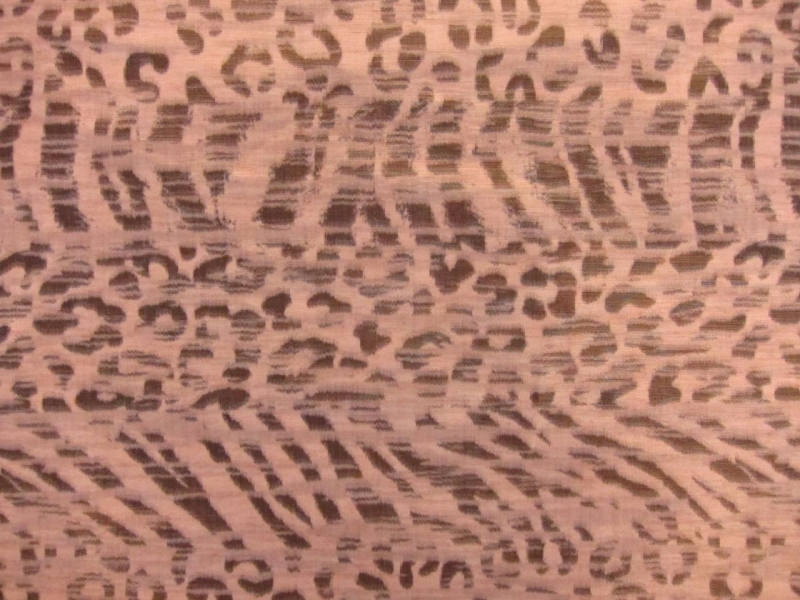 Printed Metallic Warp Taffeta0