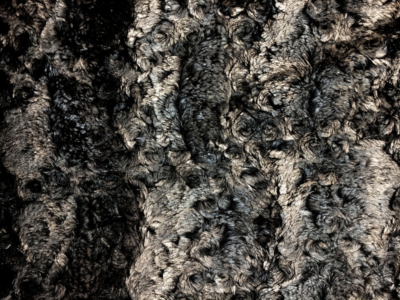 Glitterbug Laminated Faux Fur in Silver0