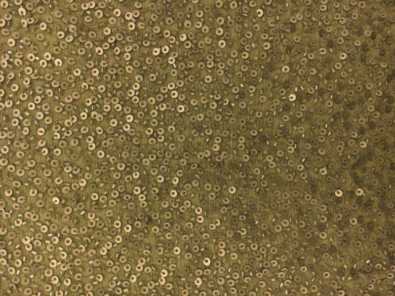 Sequins and Beads on Silk Chiffon0