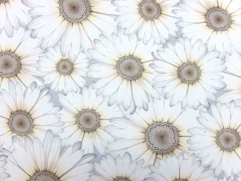 Printed Silk Chiffon0