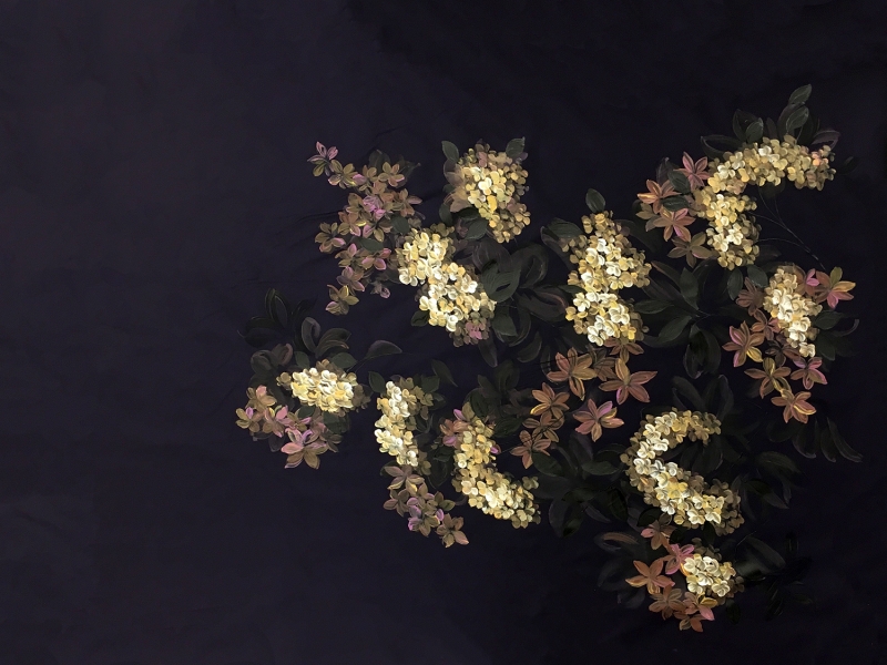 Iridescent Purple and Black Silk Taffeta Panel with Handpainted Flowers0