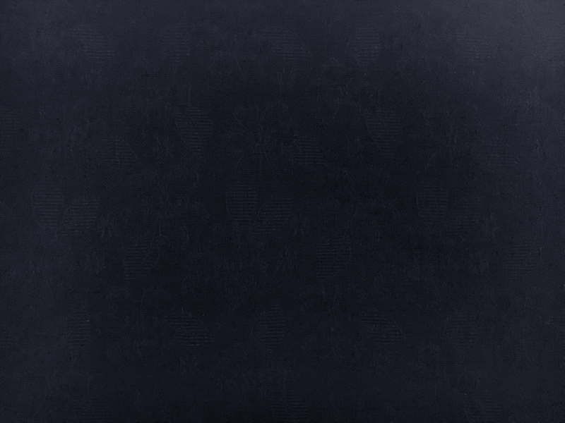 Swiss Cotton Floral Brocade in Navy2