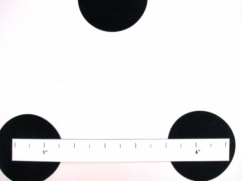 Printed Silk Charmeuse1