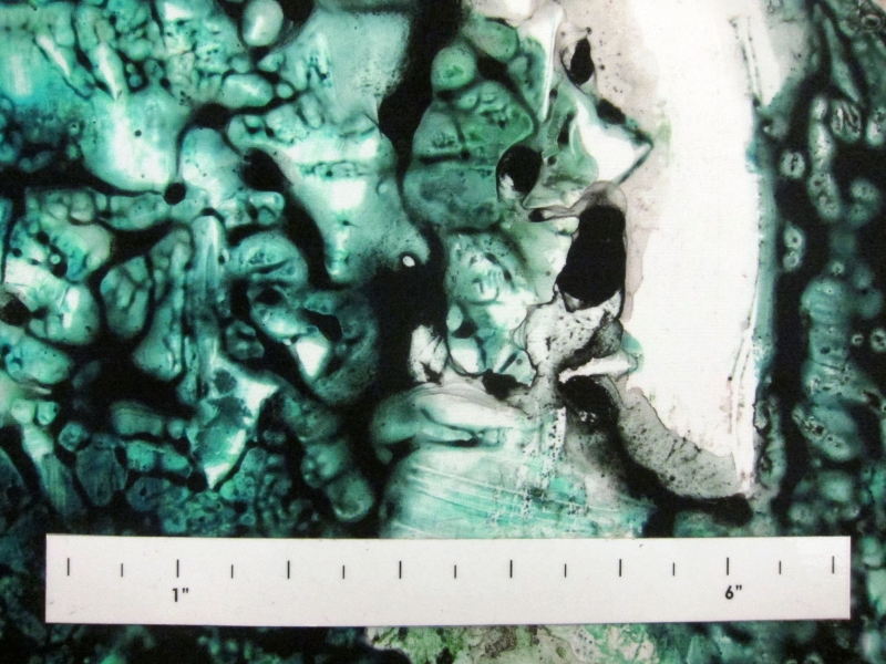 Printed Silk Charmeuse1