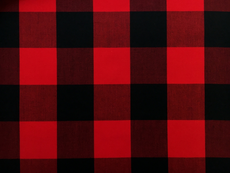 Carolina Cotton Gingham in in Scarlet0