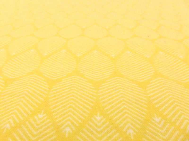 Cotton Broadcloth Print2