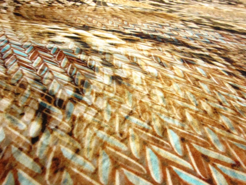 Printed Silk Charmeuse2