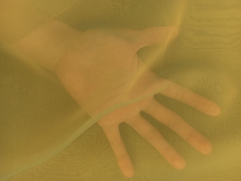 Iridescent Polyester Chiffon in Moss1