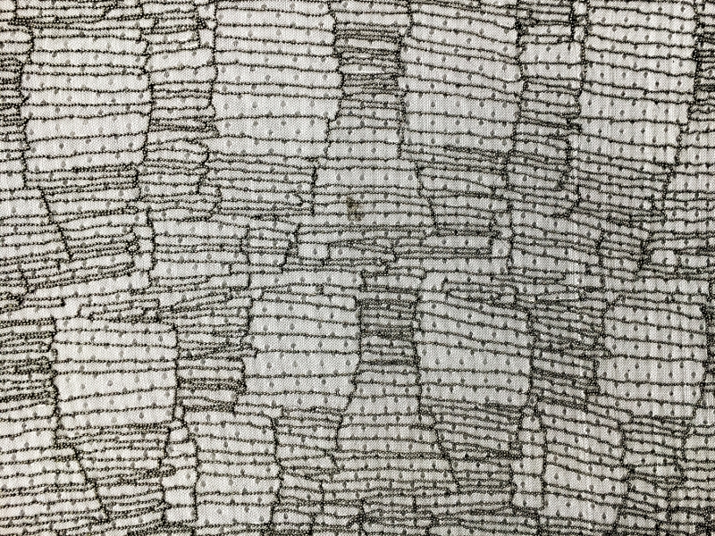 Novelty Beaded Point d'Esprit0