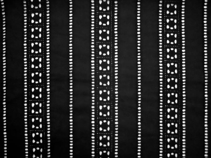 Cotton Eyelet0