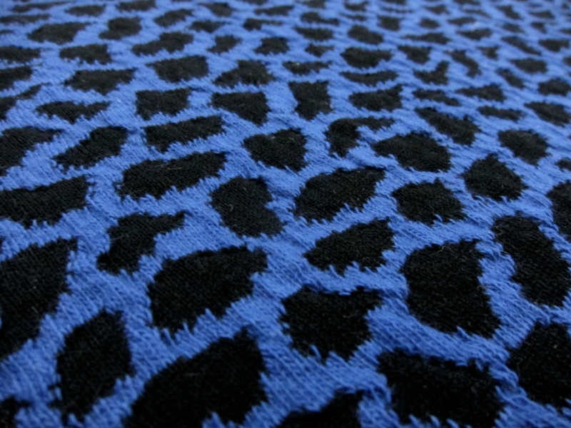 Cotton Blend Knit With Animal Print in Cobalt2