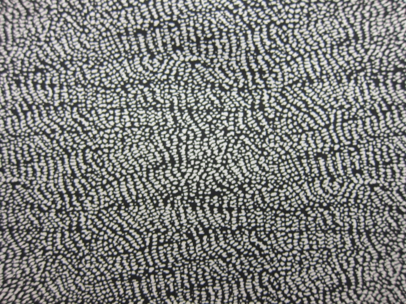 SILK TAFFETA JACQUARD0