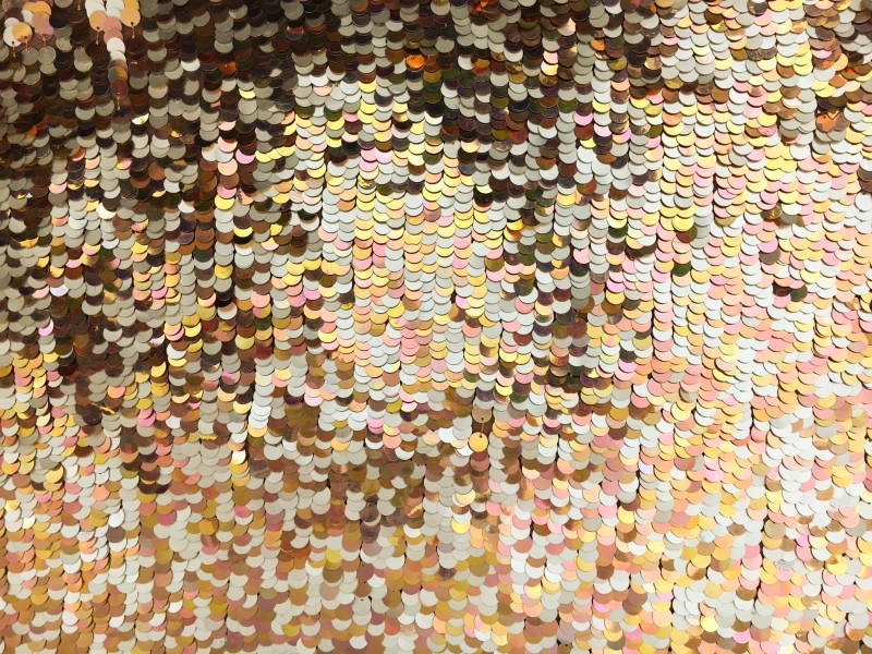 Novelty Pailettes on Silk Chiffon0