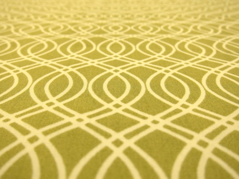 Cotton Broadcloth Print2