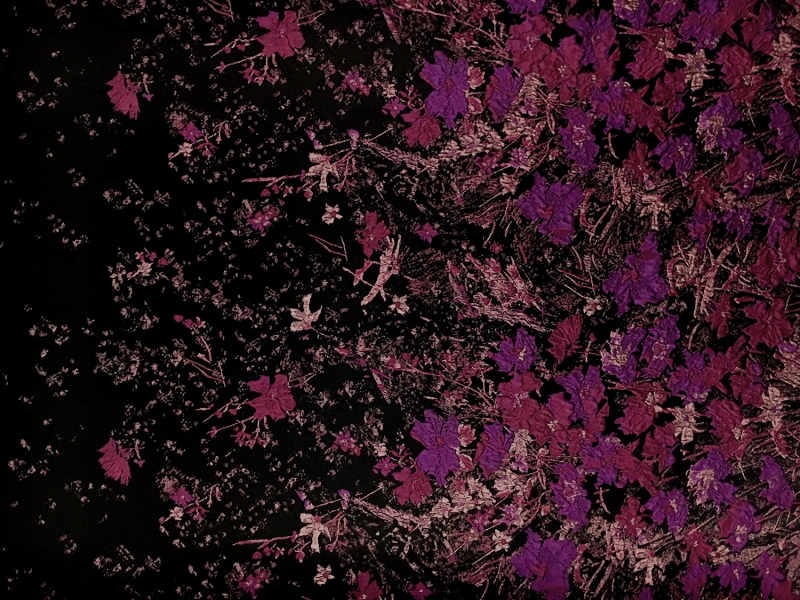 Polyester Twill with Metallic Abstract Floral Border0