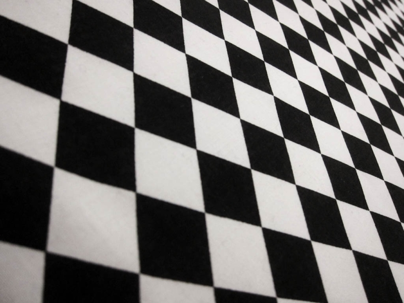 Cotton Broadcloth Print2