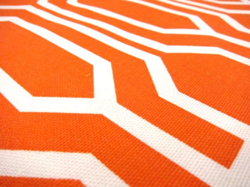 Cotton Canvas Geometric Repeat Print2