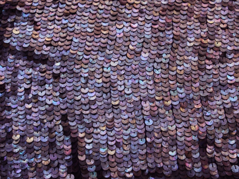 Sequins on Silk Chiffon1