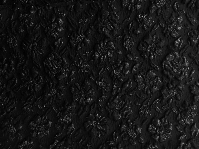 Metallic Cloqué Organza with Floral Motifs0