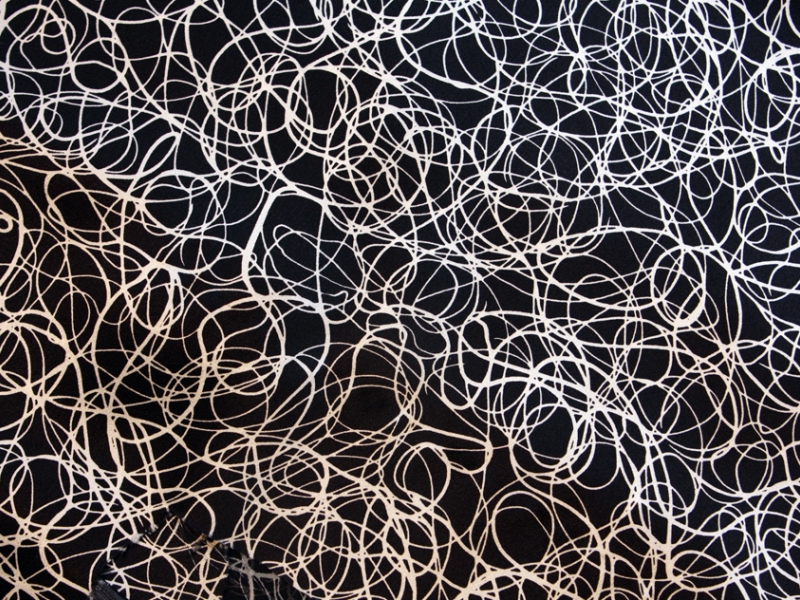 Printed Silk Charmeuse1