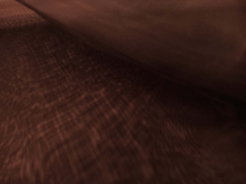 Japanese Polyester Extra Fine Organza in Brown2