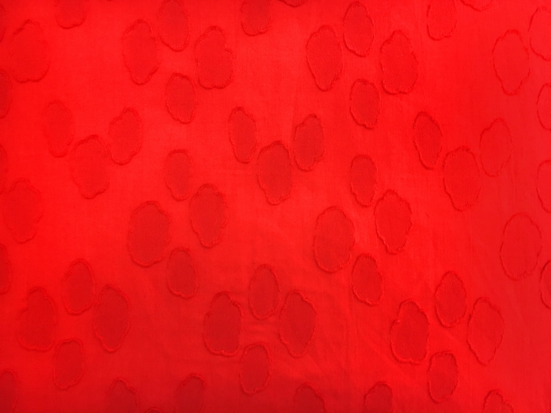 Swiss Cotton Voile Fil Coupe0