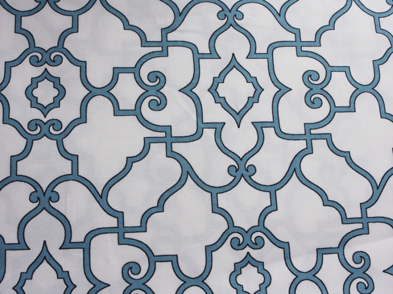 Printed Cotton Canvas0