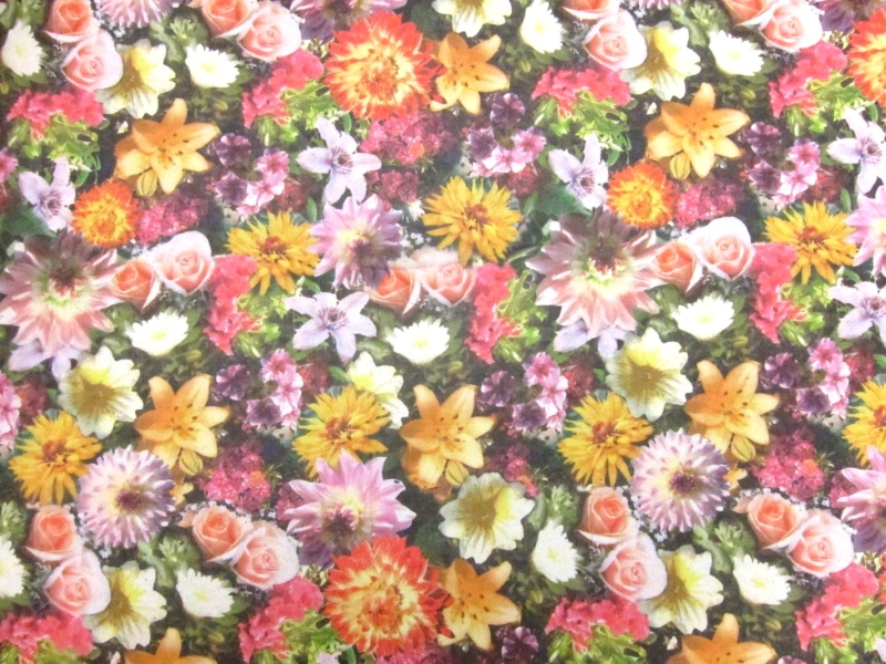 Printed Silk Chiffon0